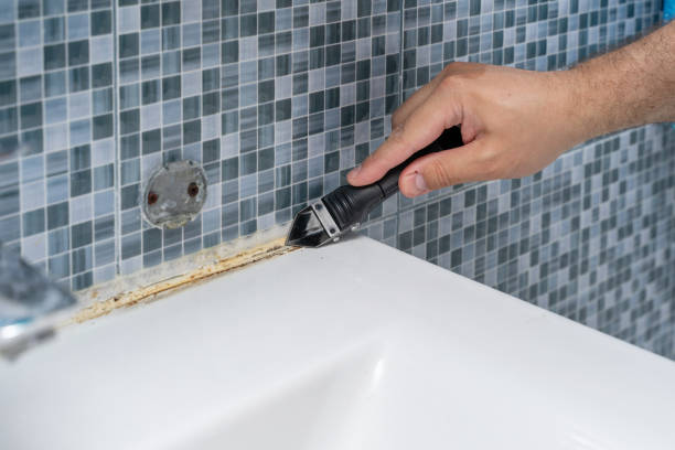 Best White Mold Remediation in Amityville, NY